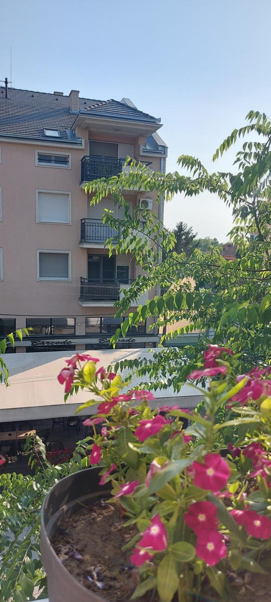Teanta Apartman Sombor Ngoại thất bức ảnh